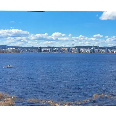 Luksuskolmio Jaervinaekoealalla Jyväskylä